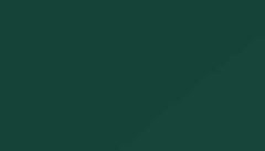Moss Green Paint - Touch Up RAL 6005 Touch-Up Paint product image