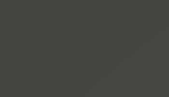 Grey Olive Paint - Touch Up RAL 6006 Touch-Up Paint product image