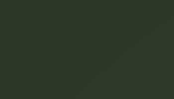 Bottle Green Paint - Touch Up RAL 6007 Touch-Up Paint product image