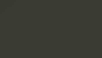 Brown Green Paint - Touch Up RAL 6008 Touch-Up Paint product image