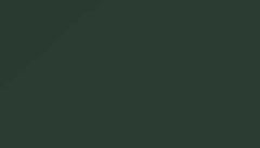 Fir Green Paint - Touch Up RAL 6009 Touch-Up Paint product image