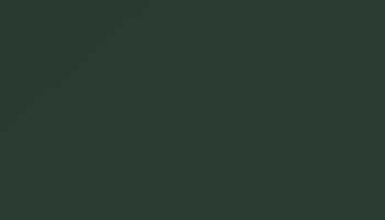 Fir Green Paint - Touch Up RAL 6009 Touch-Up Paint product image