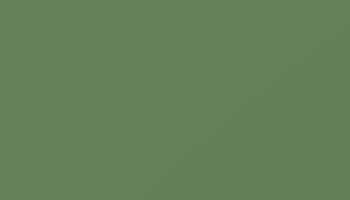 Reseda Green Paint - Touch Up RAL 6011 Touch-Up Paint product image