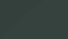 Black Green Paint - Touch Up RAL 6012 Touch-Up Paint product image