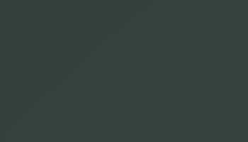 Black Green Paint - Touch Up RAL 6012 Touch-Up Paint product image