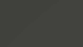 Black Olive Paint - Touch Up RAL 6015 Touch-Up Paint product image