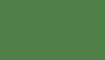 Yellow Green Paint - Touch Up RAL 6018 Touch-Up Paint product image