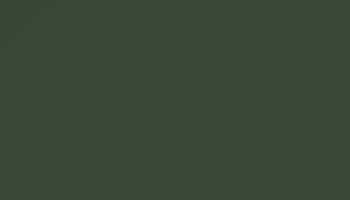 Chrome Green Paint - Touch Up RAL 6020 Touch-Up Paint product image
