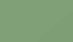 Pale Green Paint - Touch Up RAL 6021 Touch-Up Paint product image