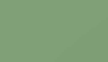 Pale Green Paint - Touch Up RAL 6021 Touch-Up Paint product image