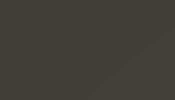 Brown Olive Paint - Touch Up RAL 6022 Touch-Up Paint product image