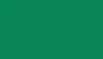 Traffic Green Paint - Touch Up RAL 6024 Touch-Up Paint product image