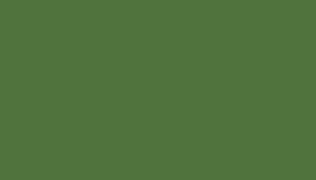 Fern Green Paint - Touch Up RAL 6025 Touch-Up Paint product image