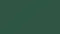 Pine Green Paint - Touch Up RAL 6028 Touch-Up Paint product image