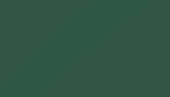 Pine Green Paint - Touch Up RAL 6028 Touch-Up Paint product image