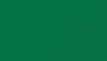 Mint Green Paint - Touch Up RAL 6029 Touch-Up Paint product image