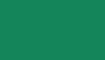 Signal Green Paint - Touch Up RAL 6032 Touch-Up Paint product image