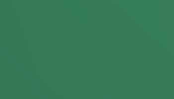 Pearl Opal Paint - Touch Up RAL 6036 Touch-Up Paint product image