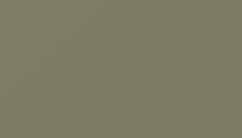 Olive Grey Paint - Touch Up RAL 7002 Touch-Up Paint product image