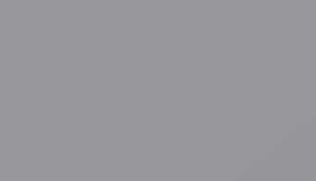 Signal Grey Paint - Touch Up RAL 7004 Touch-Up Paint product image