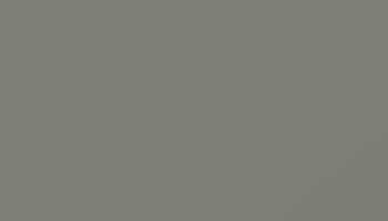 Concrete Grey Paint - Touch Up RAL 7023 Touch-Up Paint product image