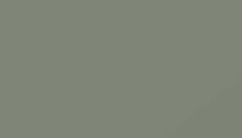 Cement Grey Paint - Touch Up RAL 7033 Touch-Up Paint product image