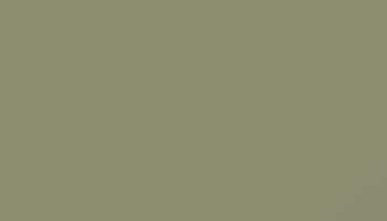 Yellow Grey Paint - Touch Up RAL 7034 Touch-Up Paint product image