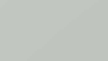 Light Grey Paint - Touch Up RAL 7035 Touch-Up Paint product image