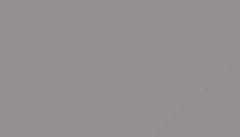 Platinum Grey Paint - Touch Up RAL 7036 Touch-Up Paint product image