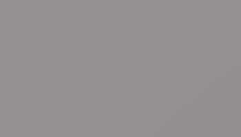 Platinum Grey Paint - Touch Up RAL 7036 Touch-Up Paint product image