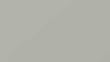 Silk Grey Paint - Touch Up RAL 7044 Touch-Up Paint product image