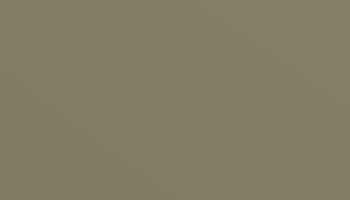 Pearl Mouse Paint - Touch Up RAL 7048 Touch-Up Paint product image