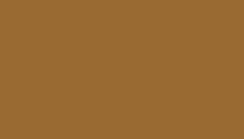 Ochre Brown Paint - Touch Up RAL 8001 Touch-Up Paint product image