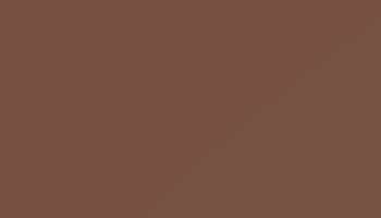 Signal Brown Paint - Touch Up RAL 8002 Touch-Up Paint product image