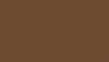 Fawn Brown Paint - Touch Up RAL 8007 Touch-Up Paint product image