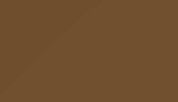 Olive Brown Paint - Touch Up RAL 8008 Touch-Up Paint product image
