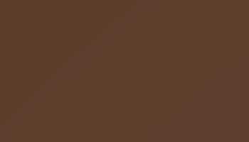 Nut Brown Paint - Touch Up RAL 8011 Touch-Up Paint product image