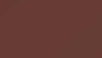 Red Brown Paint - Touch Up RAL 8012 Touch-Up Paint product image