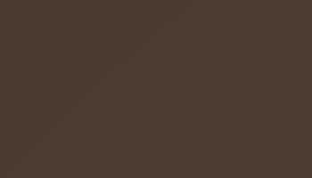 Sepia Brown Paint - Touch Up RAL 8014 Touch-Up Paint product image