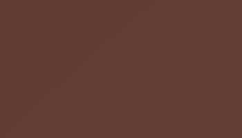 Chestnut Brown Paint - Touch Up RAL 8015 Touch-Up Paint product image