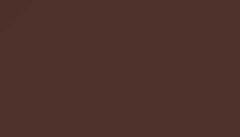 Mahogany Brown Paint - Touch Up RAL 8016 Touch-Up Paint product image