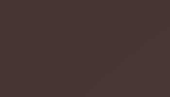 Chocolate Brown Paint - Touch Up RAL 8017 Touch-Up Paint product image