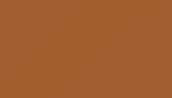 Orange Brown Paint - Touch Up RAL 8023 Touch-Up Paint product image