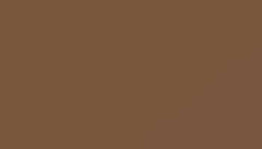 Beige Brown Paint - Touch Up RAL 8024 Touch-Up Paint product image