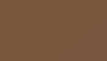 Beige Brown Paint - Touch Up RAL 8024 Touch-Up Paint product image