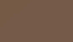 Pale Brown Paint - Touch Up RAL 8025 Touch-Up Paint product image