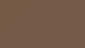Pale Brown Paint - Touch Up RAL 8025 Touch-Up Paint product image