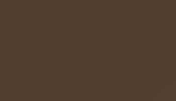 Terra Brown Paint - Touch Up RAL 8028 Touch-Up Paint product image