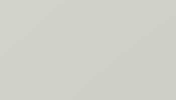 Grey White Paint - Touch Up RAL 9002 Touch-Up Paint product image