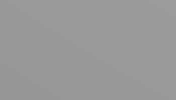 Grey Aluminum Paint - Touch Up RAL 9007 Touch-Up Paint product image